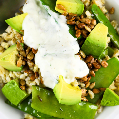 Avo & Barley NOURYSH Bowl